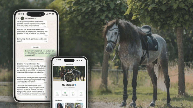 Preview WhatsApp-bot
